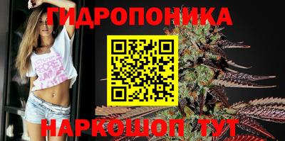 ГАЛЛЮЦИНОГЕННЫЕ ГРИБЫ Тула